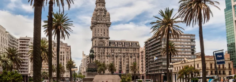 Plaza con palmeras y edificio histórico en un día soleado.